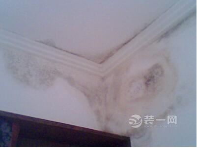 买二手房 看房如何避免不易见的隐患